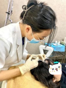Meso Mọc Tóc có an toàn? Giải Pháp Hiệu Quả Cho Tình Trạng Rụng Tóc