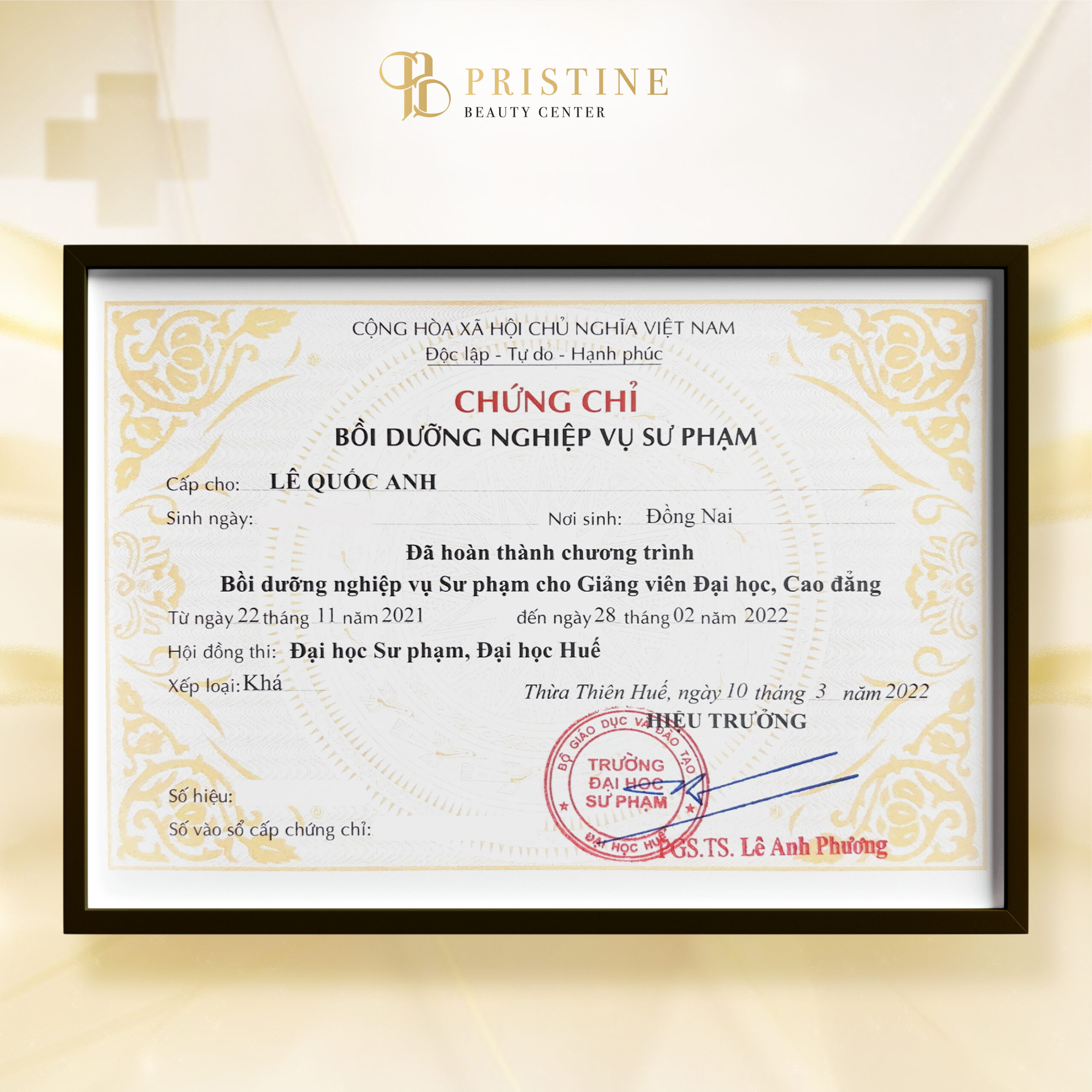 Giới thiệu về Bác sĩ tại Pristine